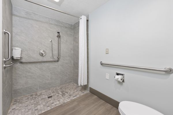 The image shows an accessible restroom with a walk-in shower equipped with handrails, a shower bench, and a curtain, adjacent to a toilet with a grab bar.