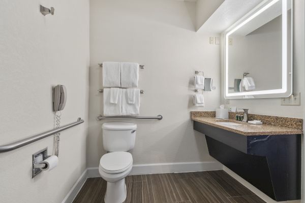 The image shows an accessible bathroom with a toilet, grab bars, towels on a rack, vanity with sink, illuminated mirror, and a wooden floor.