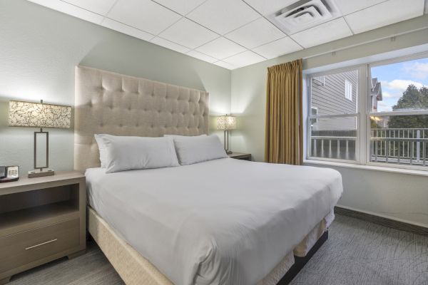 The image shows a neatly made bed in a modern hotel room with bedside tables, lamps, a padded headboard, curtain, and a window with an outdoor view.