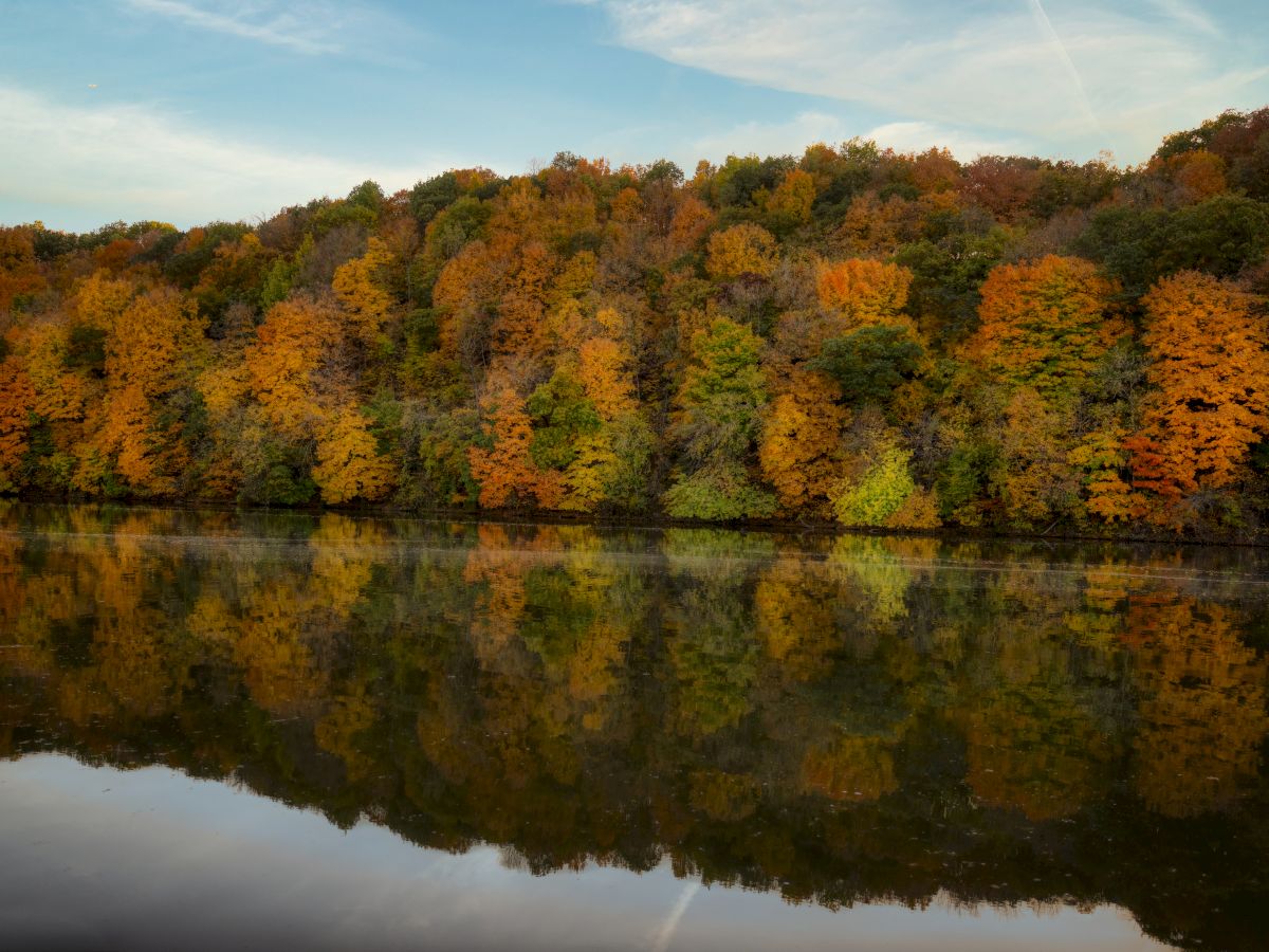 The image shows a serene lake with the reflection of a forest of trees with autumn foliage in vibrant colors of orange, yellow, and green on a clear day.