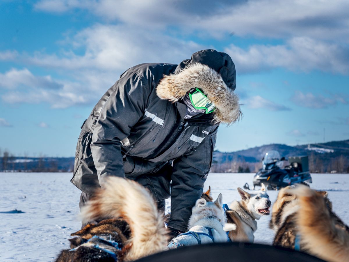 A person in winter gear is tending to a team of sled dogs in a snowy landscape, with another person and dogs in the background.