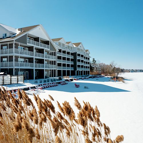 The image shows waterfront buildings with balconies overlooking a snow-covered landscape, including dry reeds in the foreground and a frozen body of water.