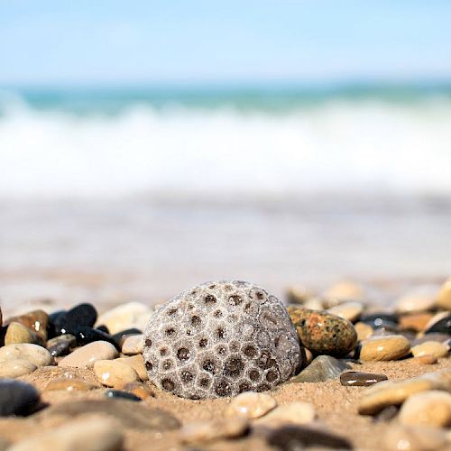 A sandy beach with various pebbles and a unique round, porous stone in focus, with gentle ocean waves in the blurred background.