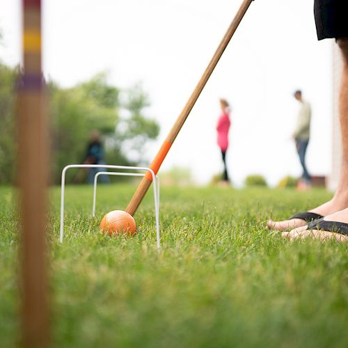 A person is playing croquet on a grassy lawn with a mallet and an orange ball, with two others in the background.